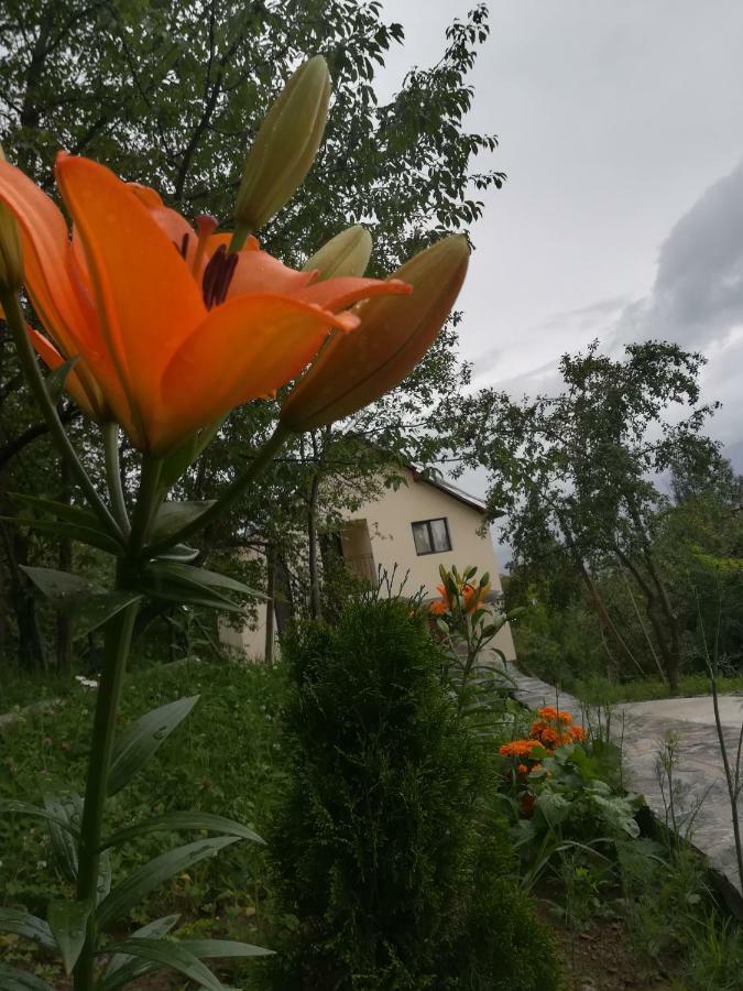 Вілла Casa Flutar Мойсей Екстер'єр фото